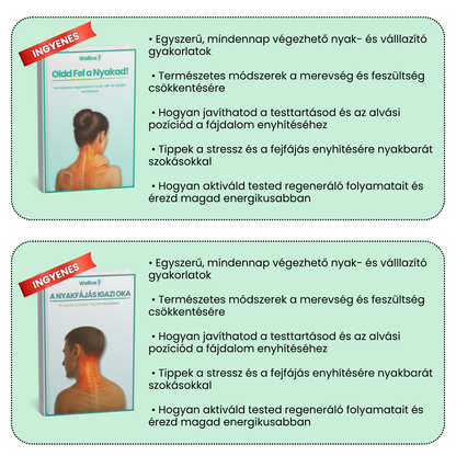 Wellive Nyakmasszírozó