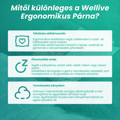 Wellive™ Ergonomikus Nyakpárna